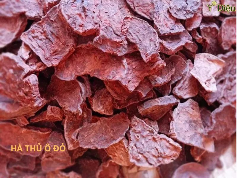 Dầu Gội Thảo Dược Hà Thủ Ô Giúp Tóc Khỏe Mạnh Tự Nhiên